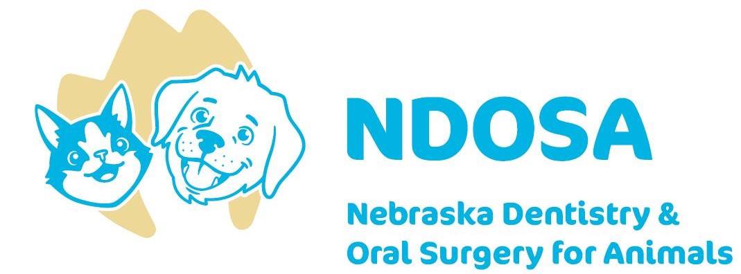 nebraska veterinary dentistry and oral surgery for animals