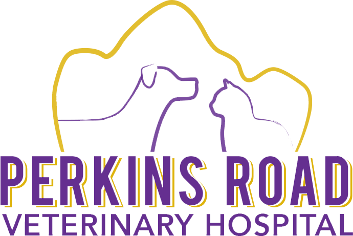 perkins road veterinary hospital veterinary dental specialists in louisiana