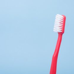 red toothbrush with blue background - brushing your dogs teeth