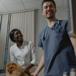 smiling veterinarian talking with woman and her dog in office